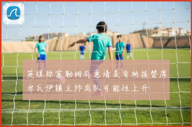 英媒称富勒姆有意请麦肯纳接替席尔瓦伊镇主帅离队可能性上升