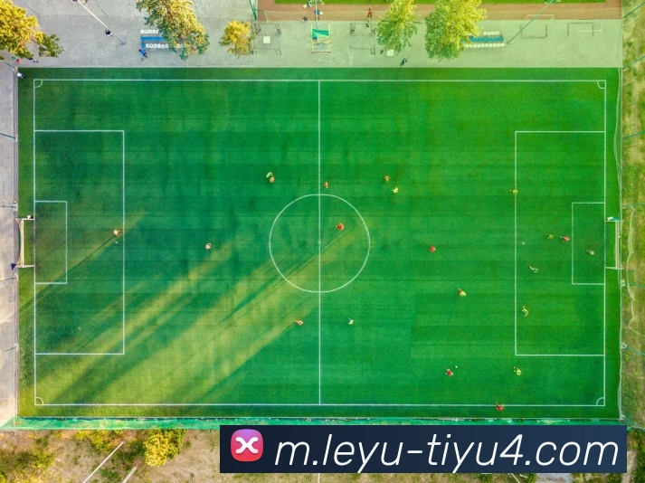 乐鱼体育平台生态图